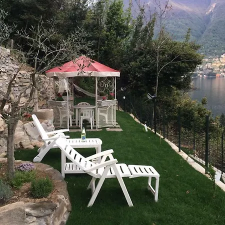 Residenza Andrea Olga *